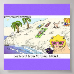 Cats Of Catalina Island Funny Poster