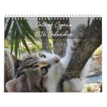 Cats of Cyprus by PaphosLife Calendar
