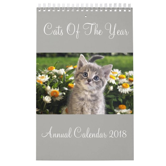 Cats Of The Year Annual Calendar 2018 (Cover)