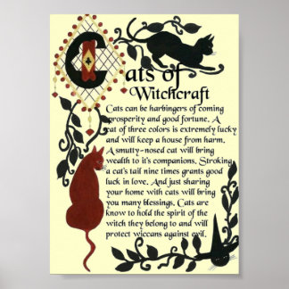 Cats of Witchcraft Poster