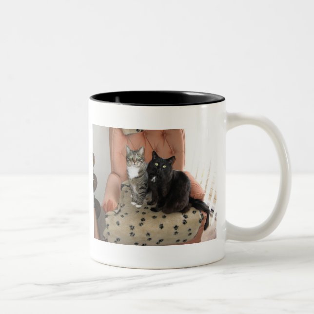 Cats on a chair mug (Right)