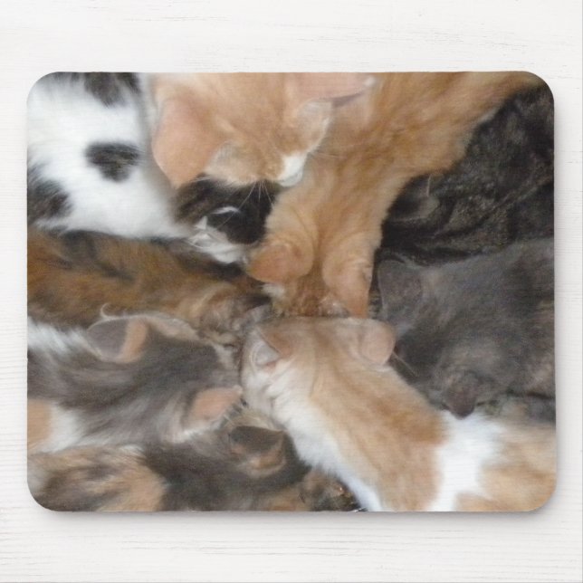 Cats on a mousepad (Front)