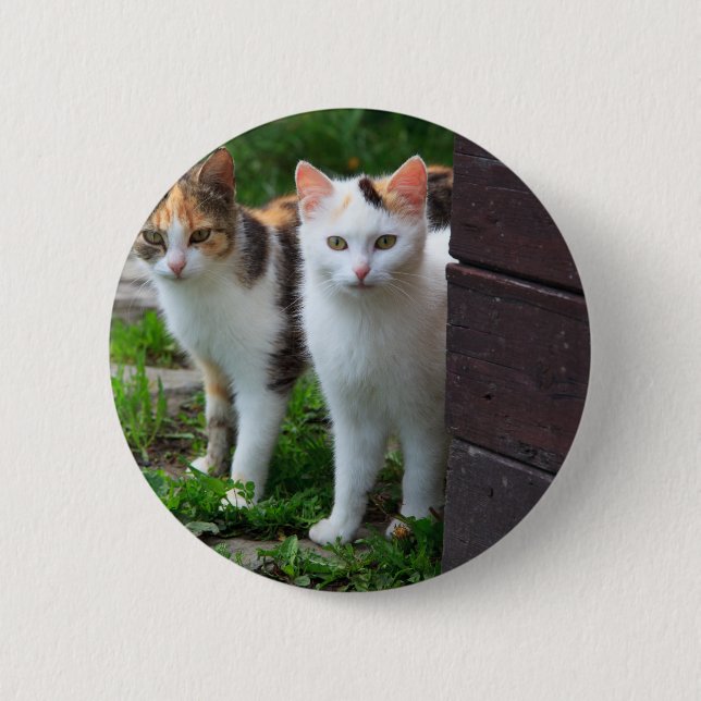 Cats out playing 2 inch round button (Front)
