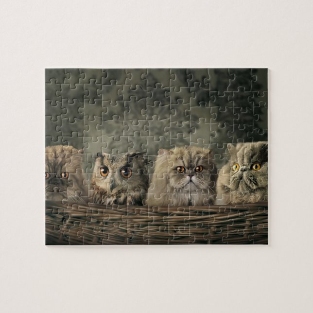 Cats & Owl Puzzle (Horizontal)