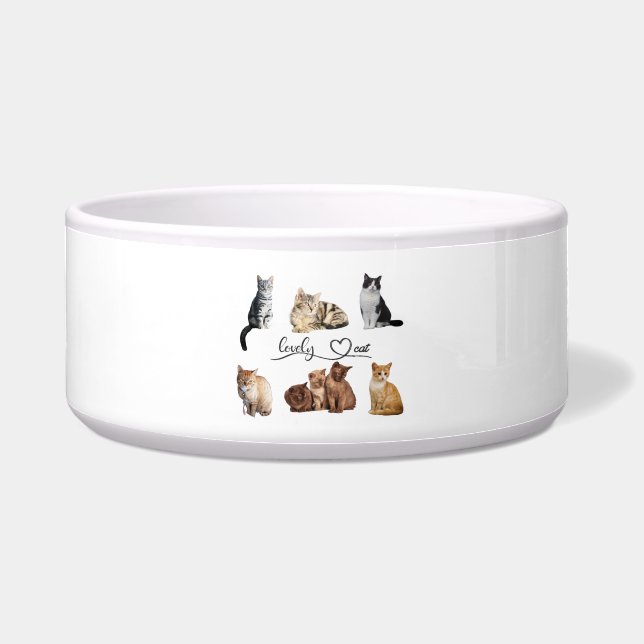 cats package, Funny cats package (Front)