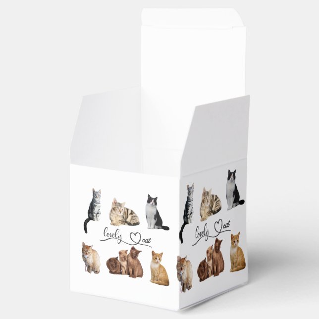 cats package, Funny cats package Favor Box (Opened)
