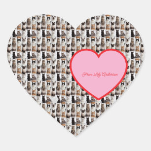 Cats pattern, Pink Heart ,Sender Name, Sticker