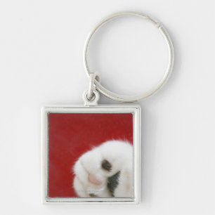 Cat's paw keychain