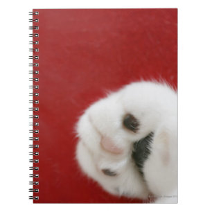 Cat's paw notebook