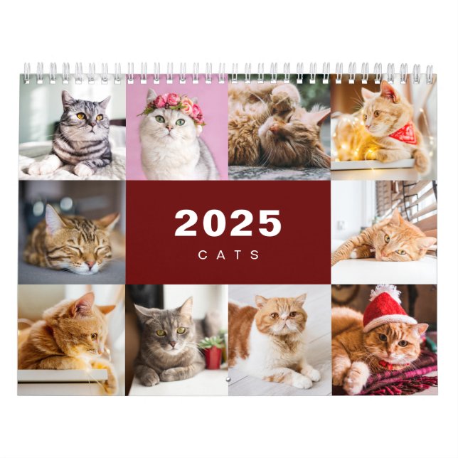 Cats Photo Collage Modern 2025 Calendar (Cover)