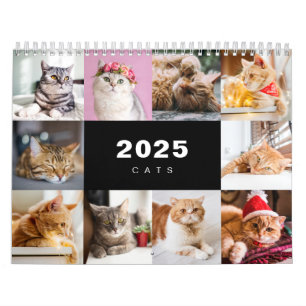 Cats Photo Collage Modern 2025 Calendar
