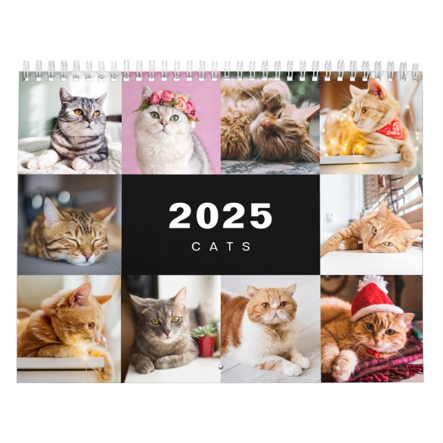 Cats Photo Collage Modern 2025 Calendar (Cover)