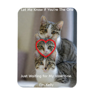 Cats Photo Flexible Photo Magnet
