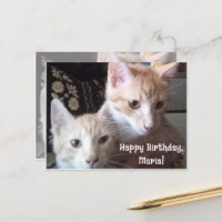 Cats photo front and back birthday card