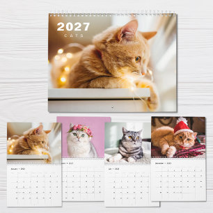Cats Photo Modern 2027 Calendar