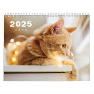 Cats Photo Moderne 2025 Calendrier