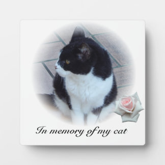 Cats Plaque
