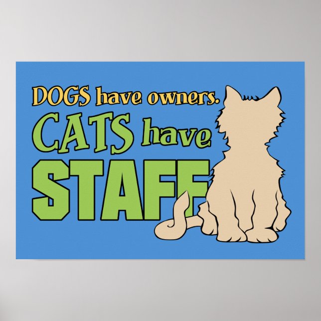 CATS POSSÈDENT PERSONNEL poster personnalisé (Devant)
