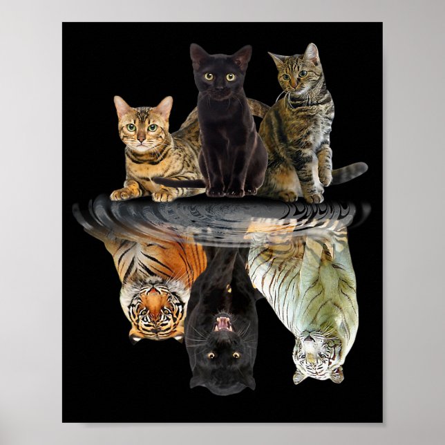 Cats Reflection  Friend Cat Lovers Cute Tiger Poster (Front)