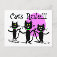 Cats Rule!!! Black Cat Design...adorable