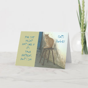 "CATS RULE/CAT PERCHED ON STOOL" HUMOROUS BIRTHDAY CARD