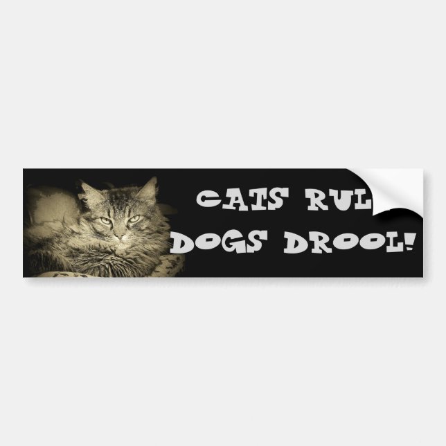 Cats rule Dogs Drool Bumper Cat Sticker (Front)