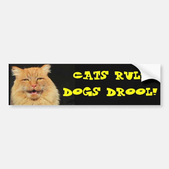 Cats rule Dogs Drool Bumper Sticker (Front)