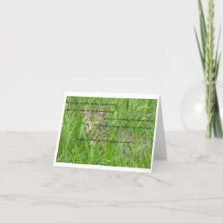 Cats Rule Note Cards