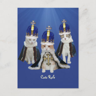 Cats Rule Postcard