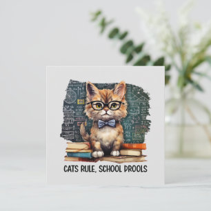 Cats Rule, School Drools