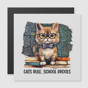 Cats Rule, School Drools