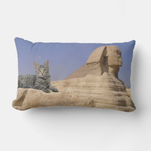Cats Rule.Throw Pillow