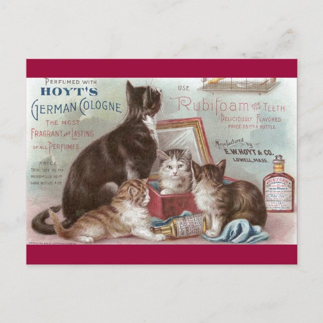 Cats Selling Cologne Victorian Trade Card (Front)