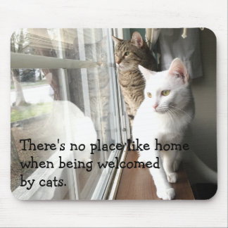 Cats Sitting by the Window Mouse Pad