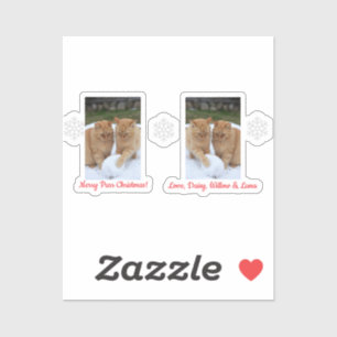 Cats Snowball, Image Names Text, Customize, 