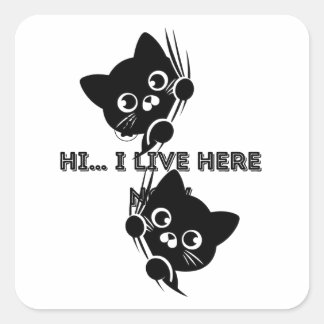cats square sticker