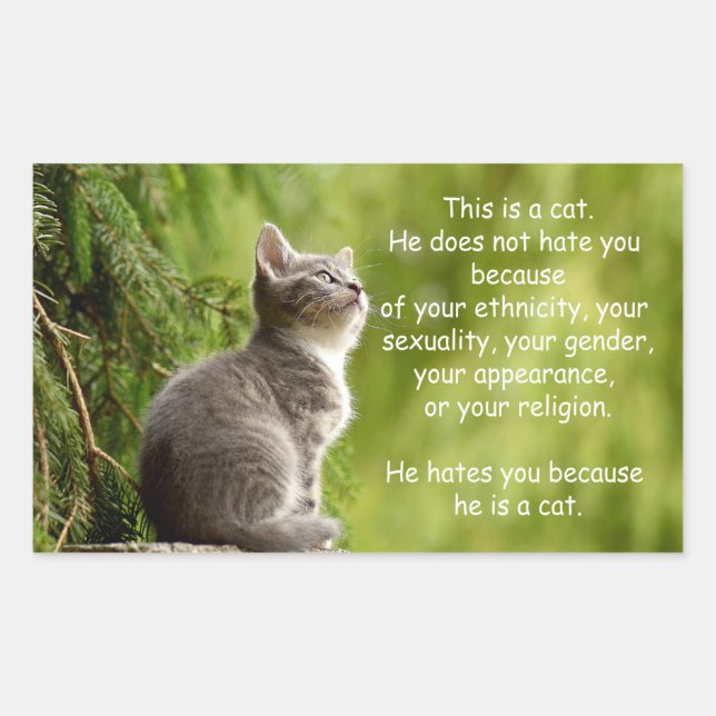 Cats Sticker (Front)