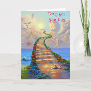 Cats Sympathy Card