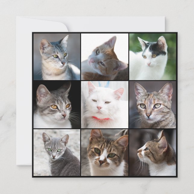 CATS template - change photo (Front)