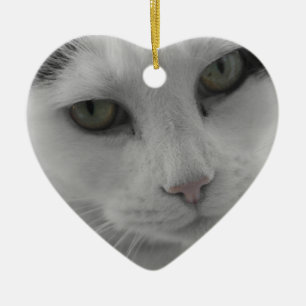 Cats Thoughts Ceramic Ornament