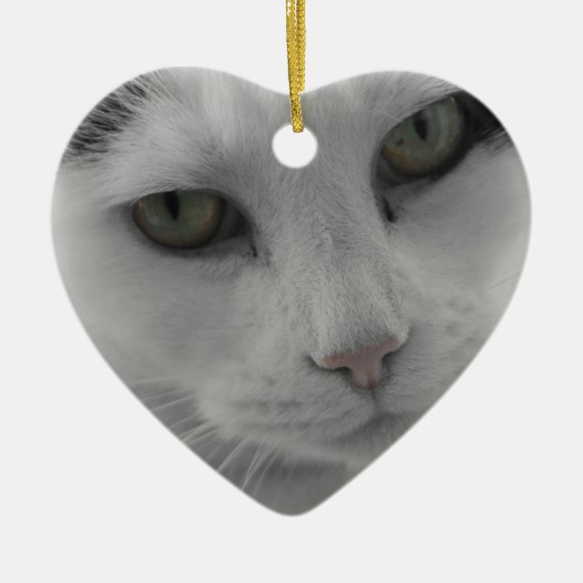 Cats Thoughts Ceramic Ornament (Front)