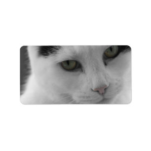 Cats Thoughts Label