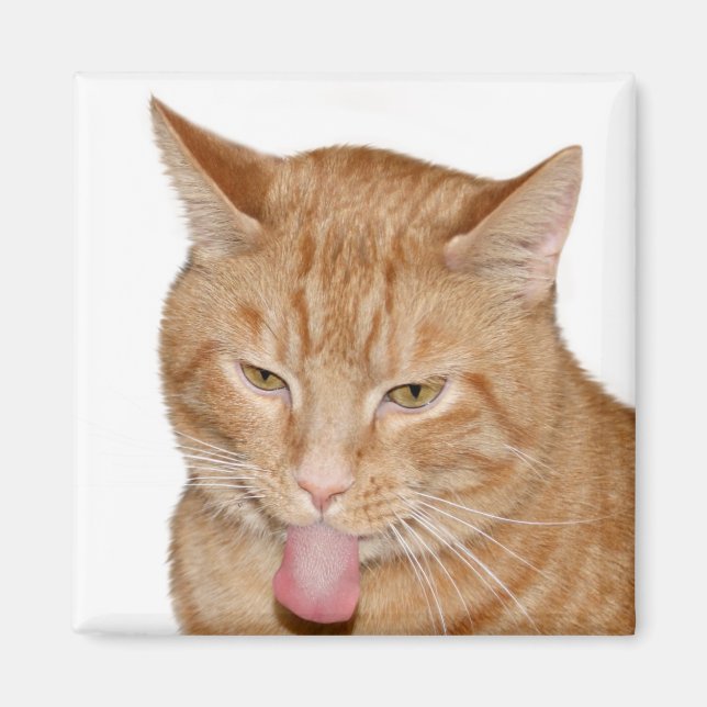 Cats tongue magnet (Front)