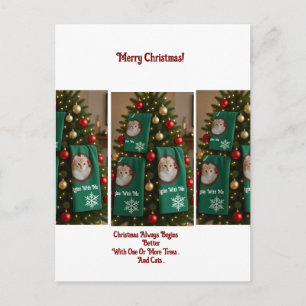 Cats Towels In Christmas Tree, photo,humor Postcard