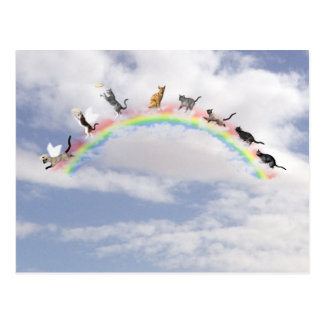 Rainbow Bridge Cat Postcards, Rainbow Bridge Cat Post Card Templates