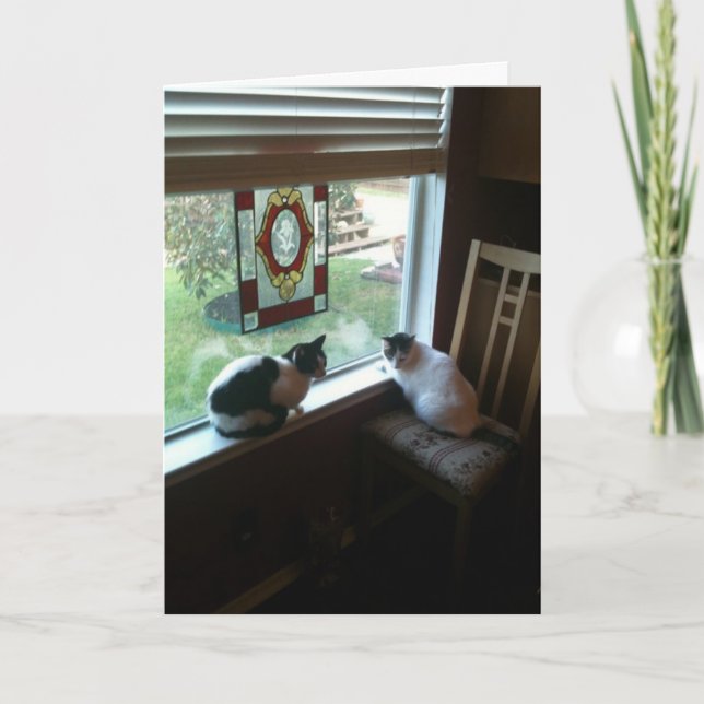 Cats waiting card (Front)