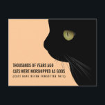 Cats Were Worshipped as Gods Funny Postcard<br><div class="desc">"Thousands of years ago cats were worshipped as gods. Cats have never forgotten this" Funny,  and true,  postcard to send your cat loving friend.  Come on,  you know who she is.</div>