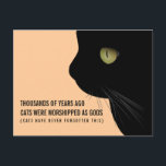 Cats Were Worshipped as Gods Funny Postcard<br><div class="desc">"Thousands of years ago cats were worshipped as gods. Cats have never forgotten this" Funny,  and true,  postcard to send your cat loving friend.  Come on,  you know who she is.</div>