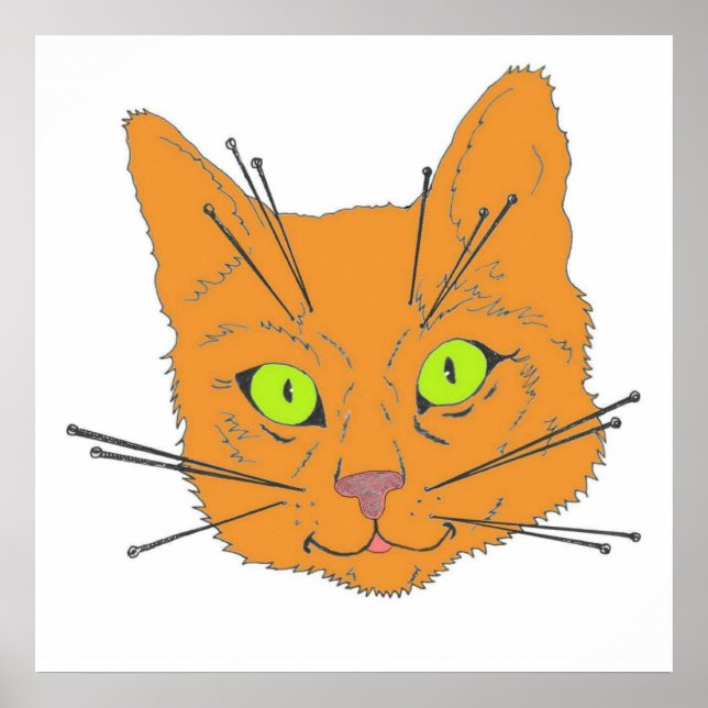 Cat's Whiskers Poster (Front)