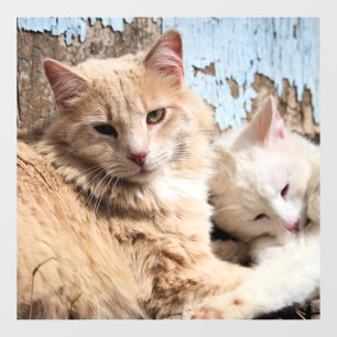 Cats Window Cling